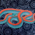 Jet Martinez, Blue Snake